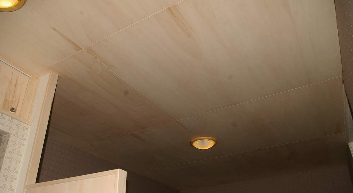 plafond peuplier