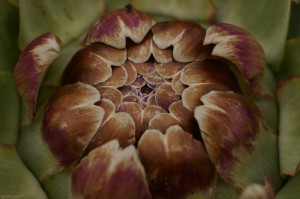 2008-07-07_20.21.32_Photo