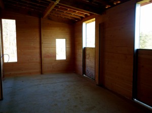 IMGP2646